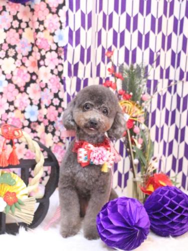 20250122chipieちゃん